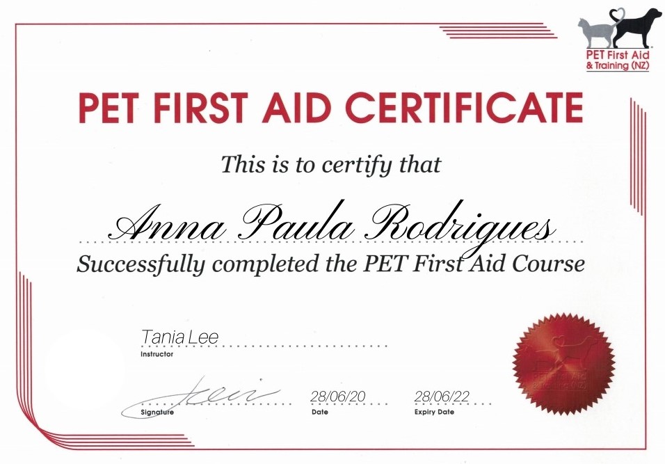 dog-first-aid-certificate